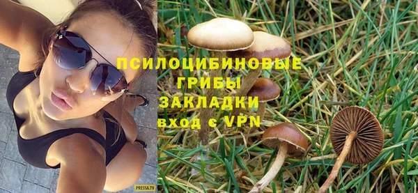 эйфоретик Иннополис