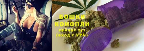 прущая мука Инсар