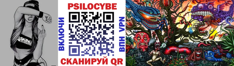Купить  Пролетарск  Псилоцибиновые грибы MAGIC MUSHROOMS 